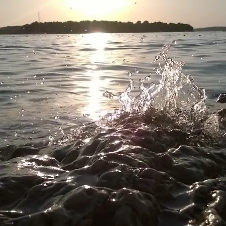 Kamilija Maslinica